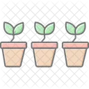 Vasos De Plantas Reutilizaveis Reutilizavel Planta Icon