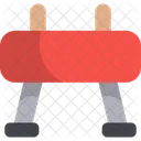 Vaulting Horse Pommel Horse Olympic Games Icon