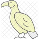 Vautour Oiseau Charognard Icône
