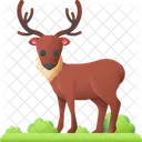 Veado Animal Rena Ícone