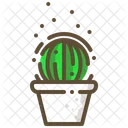 Vecchia Signora Cactus Succulenta Icon