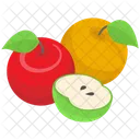 Vecteur de fruits biologiques  Icône