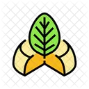 Vegan Cheese Food Icon