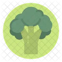 Vegetable Vegetarian Broccoli Icon