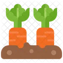 Vegetable Icon
