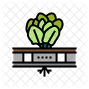 Vegetable Hydroponics Water Icon