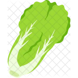 Vegetable  Icon