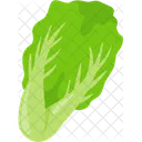 Lettuce Chili Vegan Icon