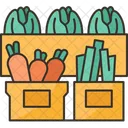 Vegetable Boxes Food Icon
