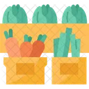 Vegetable Boxes Food Icon