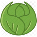 Vegetable Cabbage Food Icon