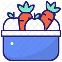 Vegetable Basket Harvest Basket Icon