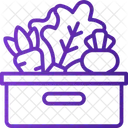 Vegetable Basket  Icon