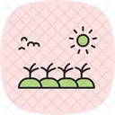 Vegetable Bed In Sun Vegetable Bed Icon