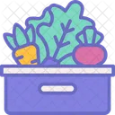 Vegetable Box  Icon