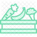 Vegetable Washing Station Icon