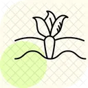 野菜農場 アイコン