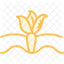 Vegetable Farm Vegetable Farm Icon