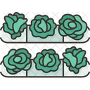 Vegetable Garden  Icon