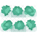 Vegetable Garden Garden Vegetable Icon