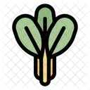 Store Shop Shopping Icon
