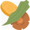 Vegetable Dried Chips Icon