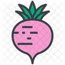 Food Vegetable Organic Icon