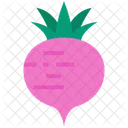 Food Vegetable Organic Icon