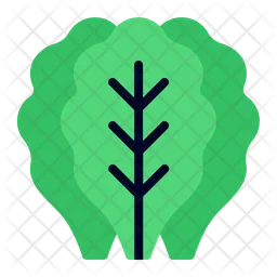 Vegetable leafy  Icon