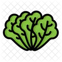 Vegetable letture  Icon