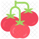 Vegetable Money Vegetable Payment Tomato Icon