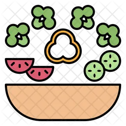 Vegetable Salad  Icon