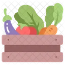 Vegetables Fruit Basket Begetable Basket Icon