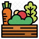 Vegetables Food Salad Icon