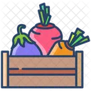 Avegetables Box Icon