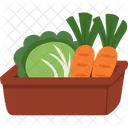 Carrots Cabbage Vegetables Icon