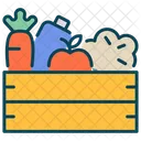 Vegetables Crate  Icon