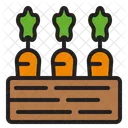 Vegetables Food Healthy Icon