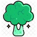 Vegetables  Icon