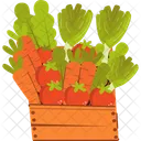 Tomato Carrots Lettuce Icon