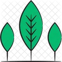 Natureza Planta Arvore Icon