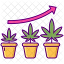 Vegetative Growth Plant Icon