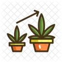 Vegetative Icon