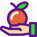 Veggie  Icon