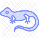 Veiled Chameleon Icon