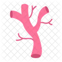Veins Circulation Blood Vessel Icon