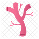 Veins  Icon