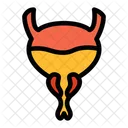 Vejiga Icono