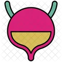 Vejiga  Icono