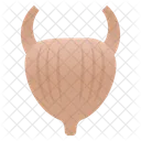 Vejiga  Icono